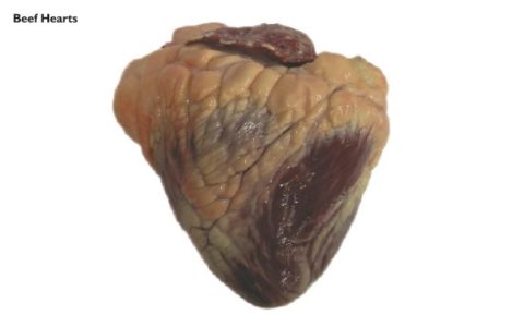 Beef Heart