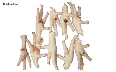 Chicken Feet